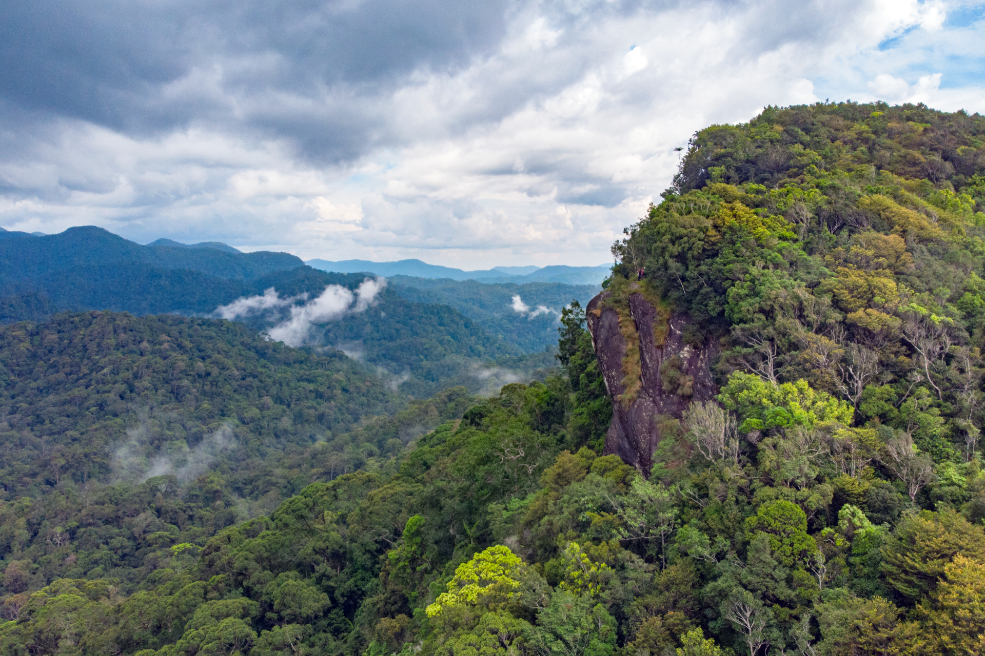 Sinharaja Forest Reserve Hike from Mirissa A7S85VHn-backdrop