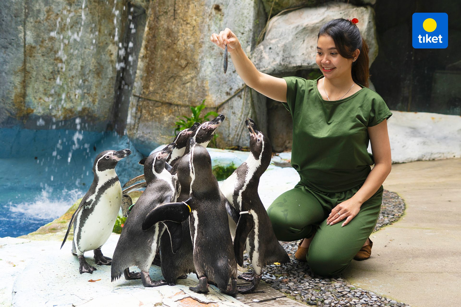 Taman Safari Indonesia Bogor Promo Liburan Sekolah 2024