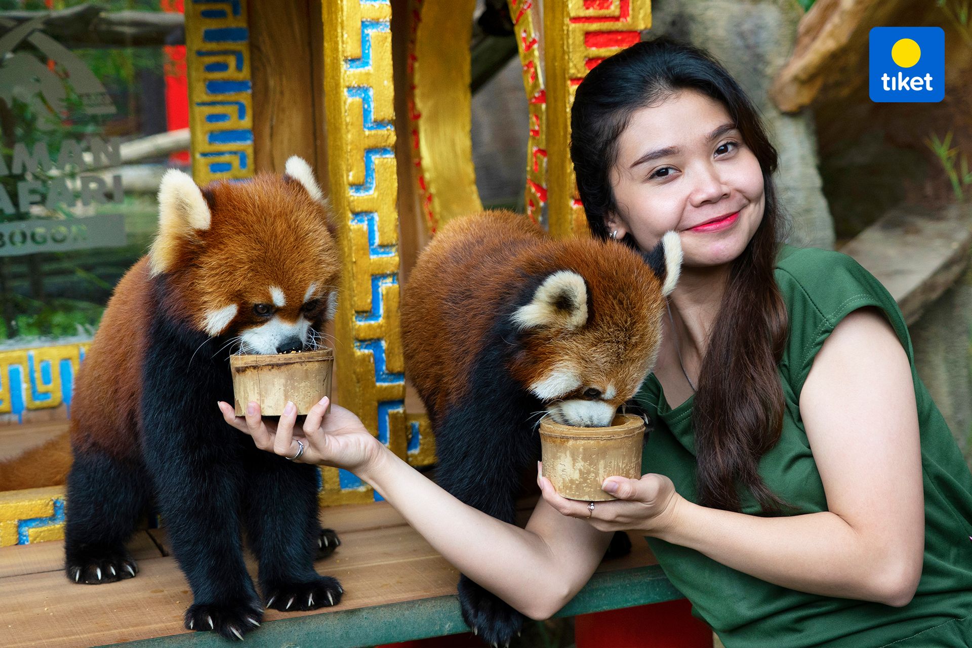 taman safari indonesia cisarua bogor