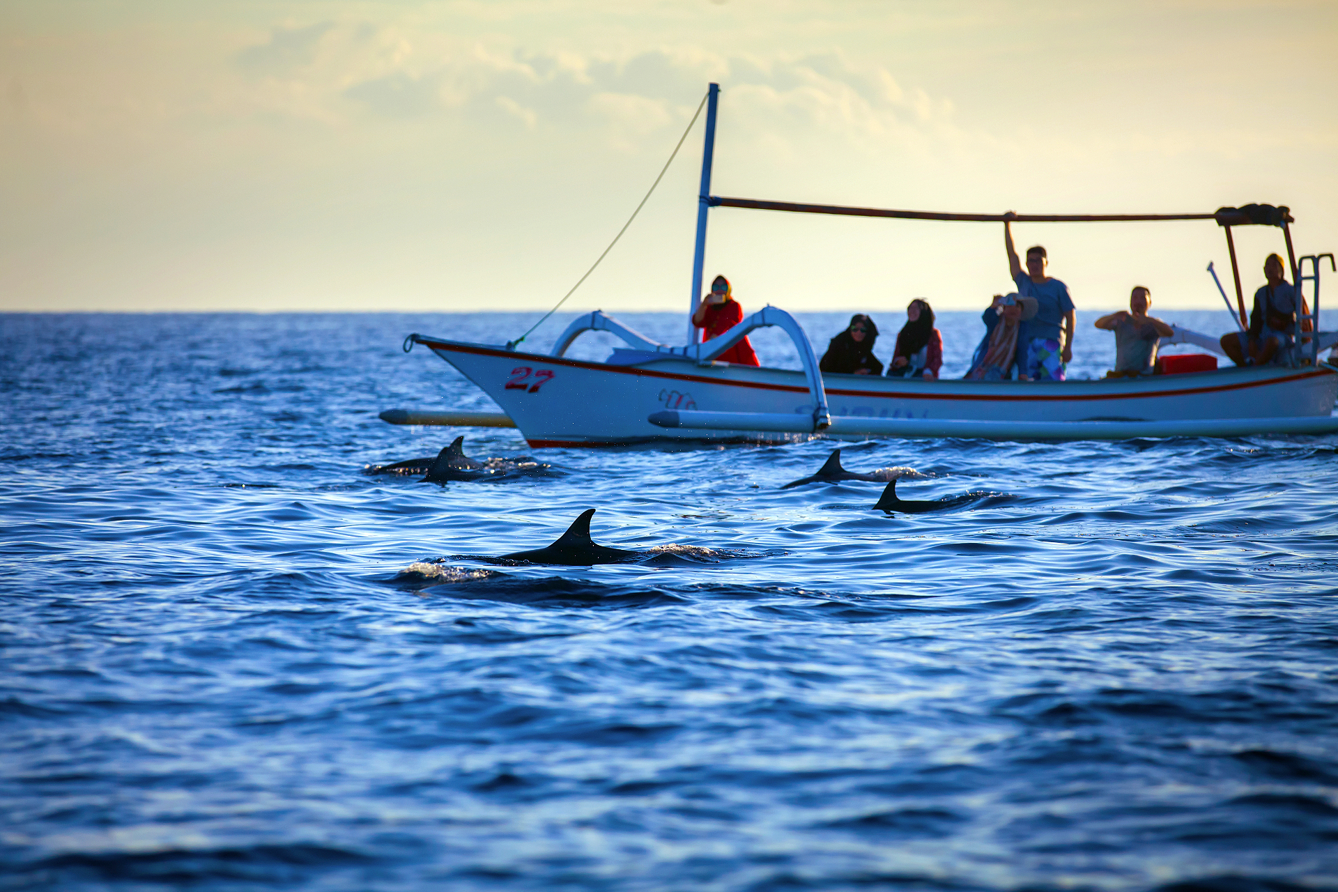 Dolphin watcing_sunrise lovina beach4.jpg