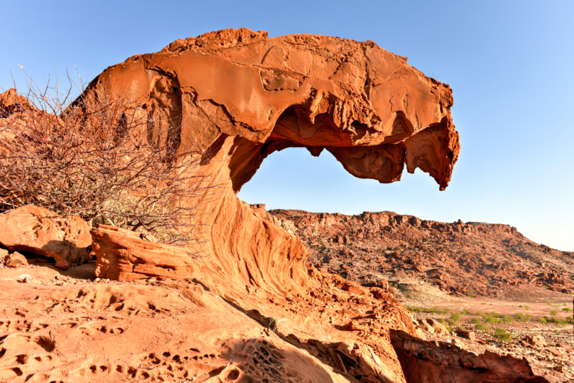 Natural Bridge and Springbrook Waterfalls Tour from Gold Coast Xvp6QgKw