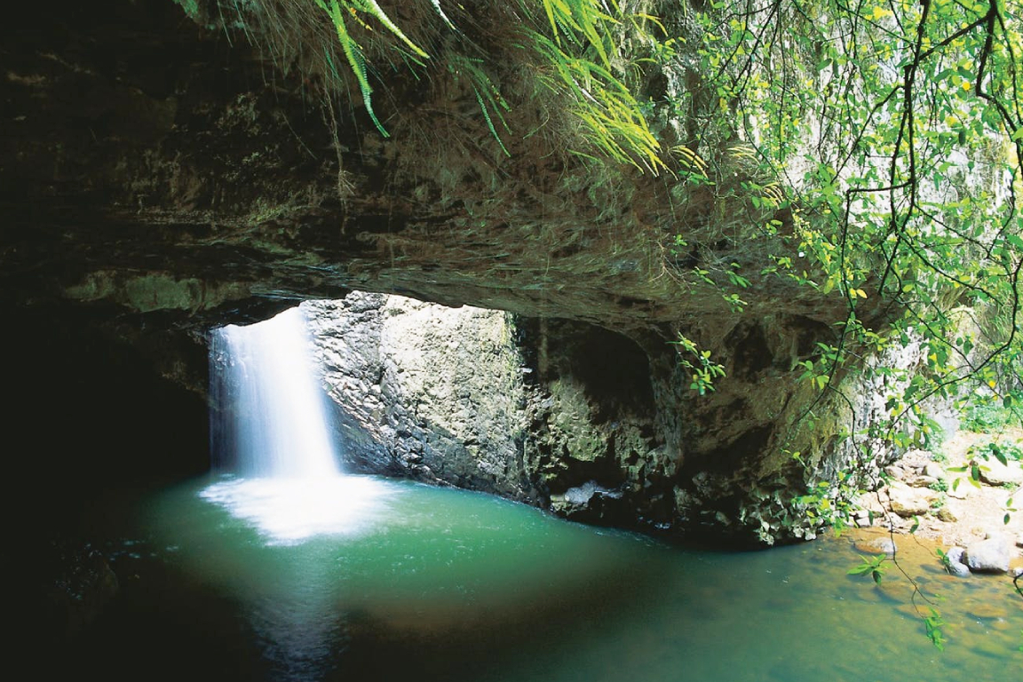 Natural Bridge and Springbrook Waterfalls Tour from Gold Coast rlLC0Yfb