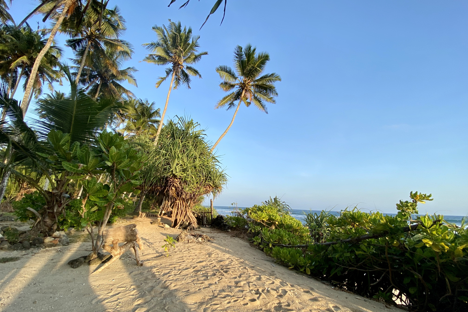 Mirissa Private Car Charter zYtsmAqt