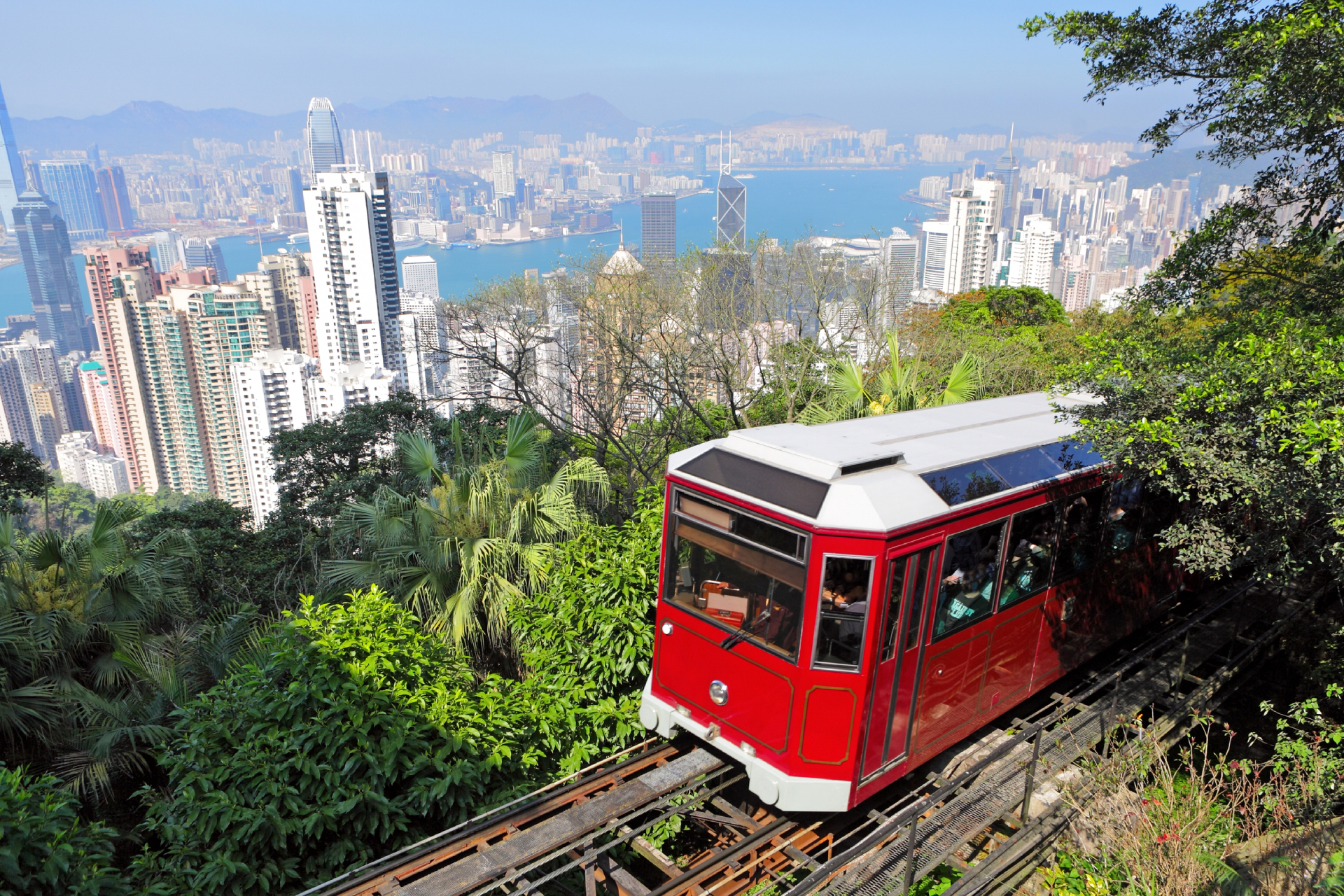 Private Hong Kong Sightseeing Tesla Charter eSkkhb6h