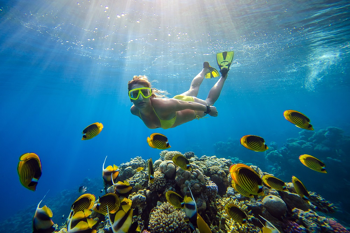 Snorkeling at Sanur Area EGEiDnJX