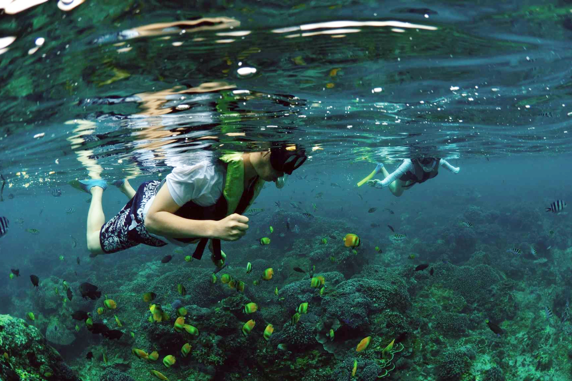 Snorkeling at Sanur Area l9Gk4jO3