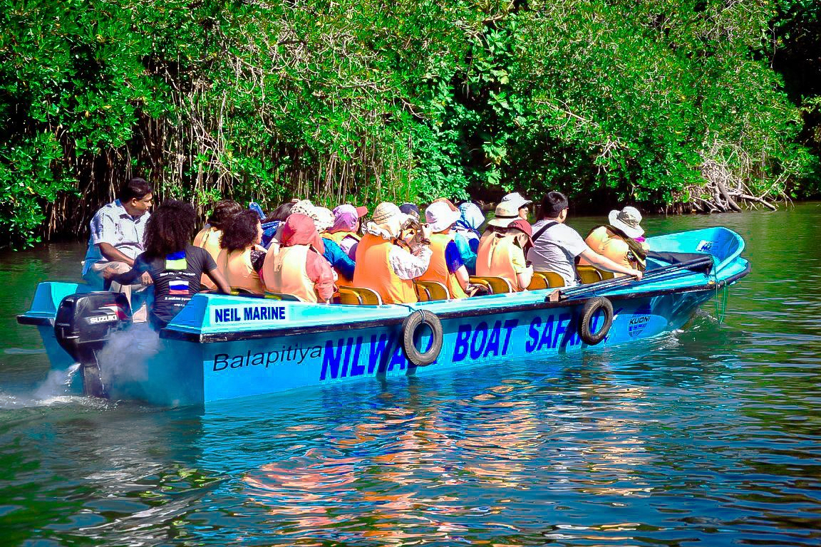 Mangrove River Safari Experience in Bentota P1zbVMxy
