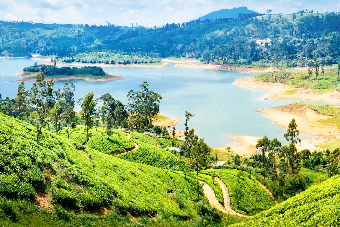 Private City Transfers between Bentota and 8 Destinations in Sri Lanka mmgDVZDp