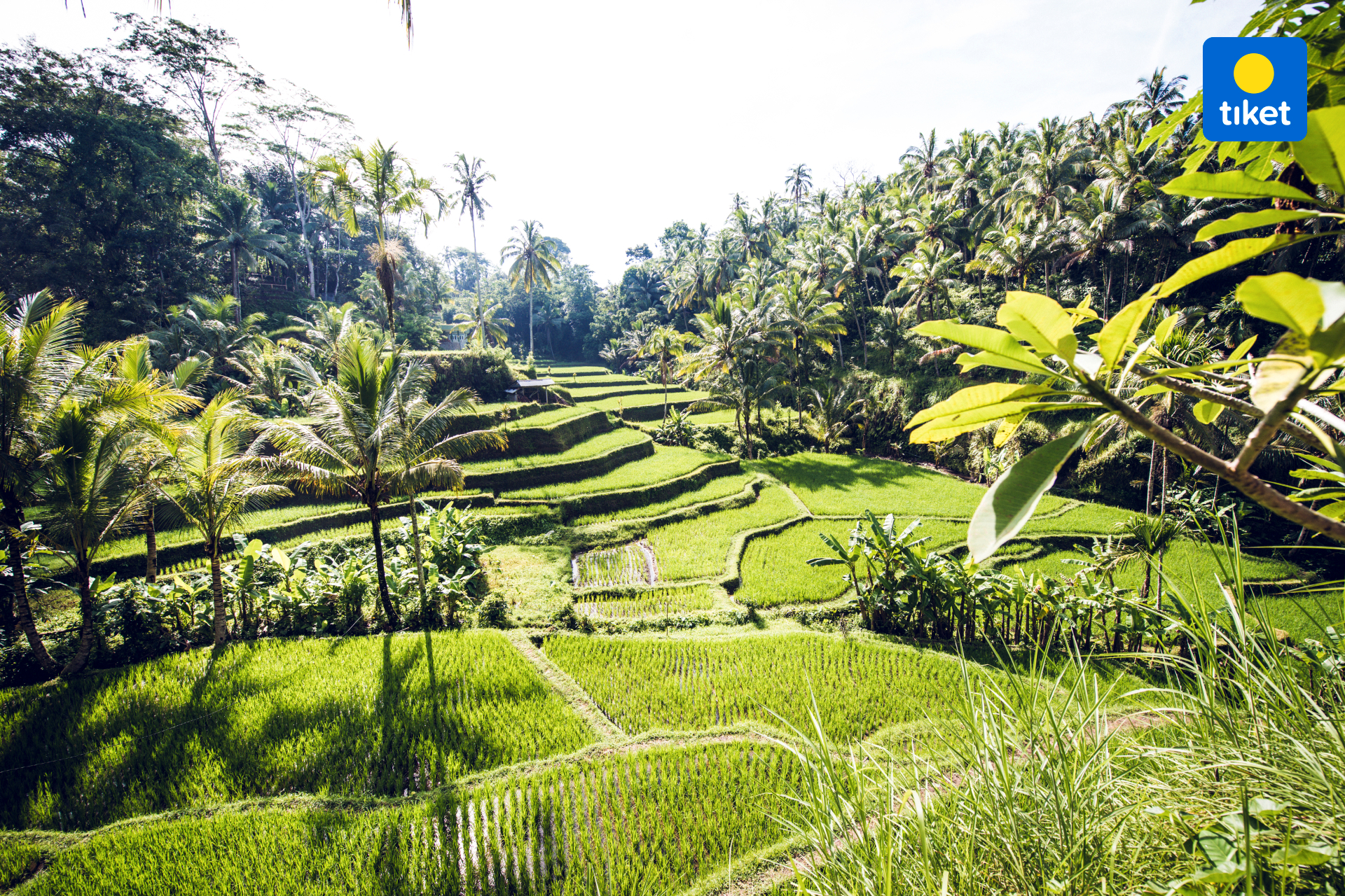 Middle zone & Southern Zone Tour ( Central & South Bali Tour ) by Bali Best Adventure MEJmoiiS