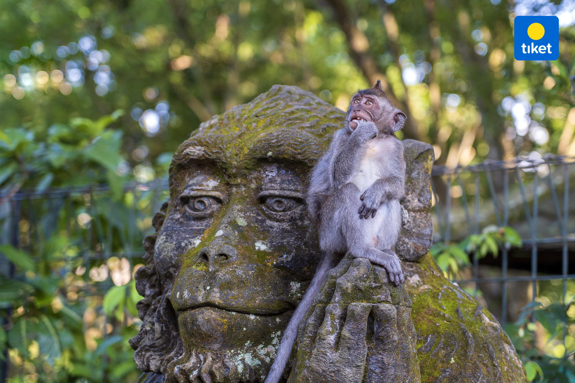 Middle zone & Southern Zone Tour ( Central & South Bali Tour ) by Bali Best Adventure qwXVQ977