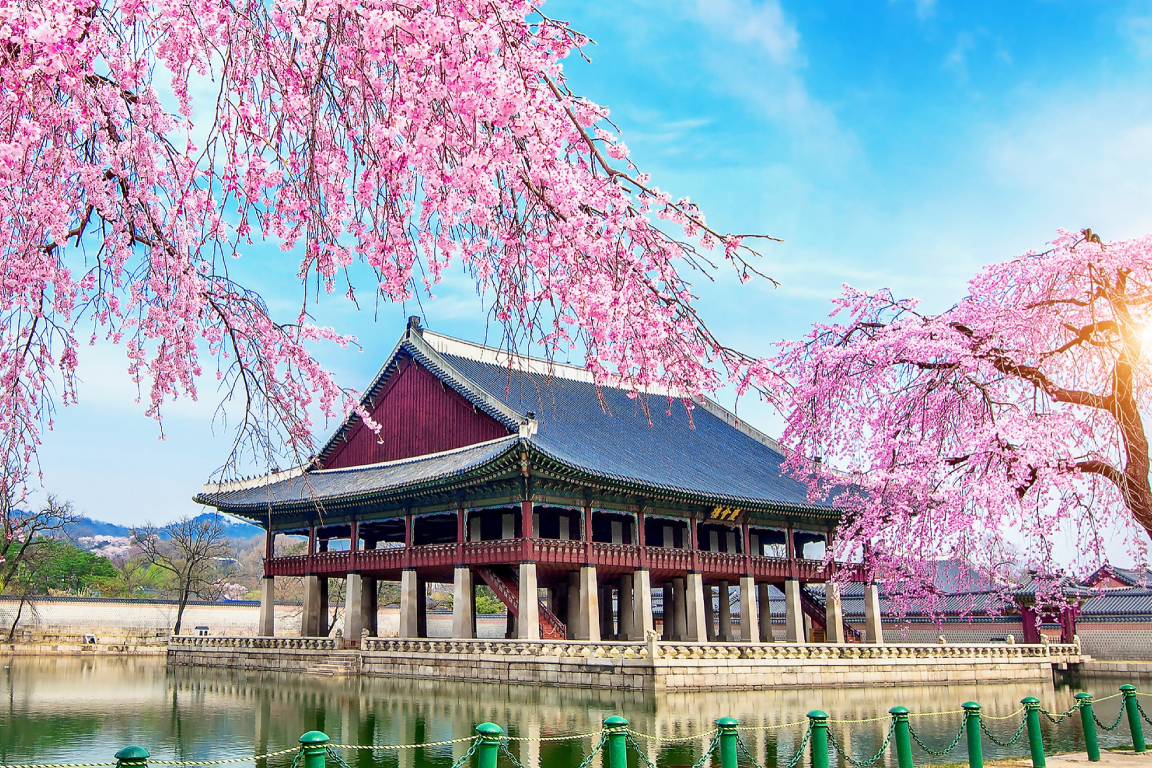 Discover Seoul Pass 4QN28HKy-backdrop