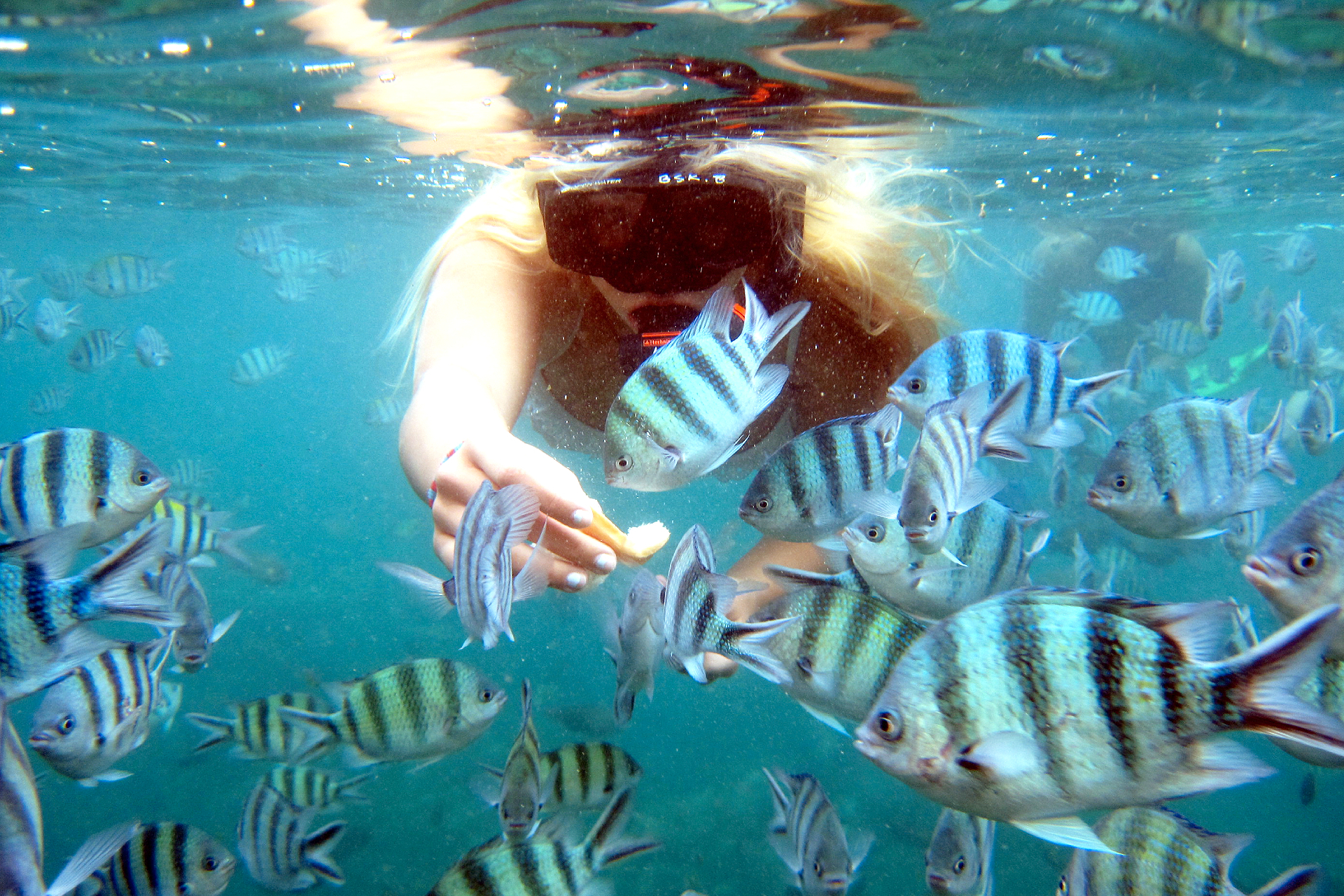 Snorkeling BY TBWS 2Nqtwzyz