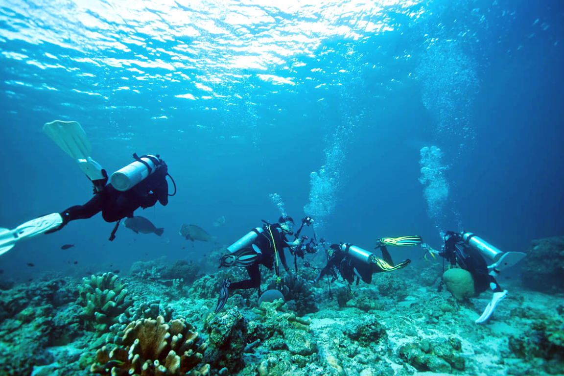 Adventure parasailing, Banana boat, Jet ski, Scuba diving by TBWS ...