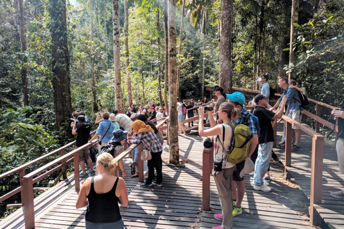 Semenggoh Wildlife Centre Half Day Trip from Kuching jGDcASLK