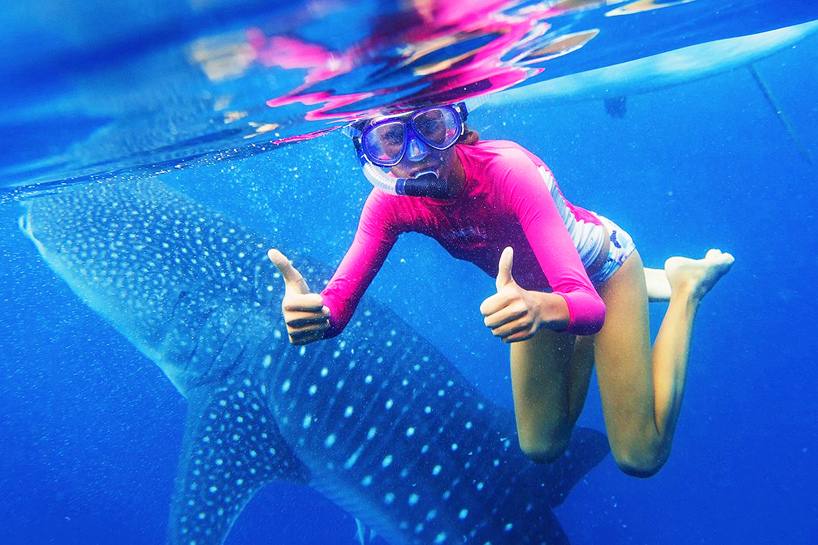 Oslob Whale Shark Watching Join In Day Tour from Cebu pLvuQRq9