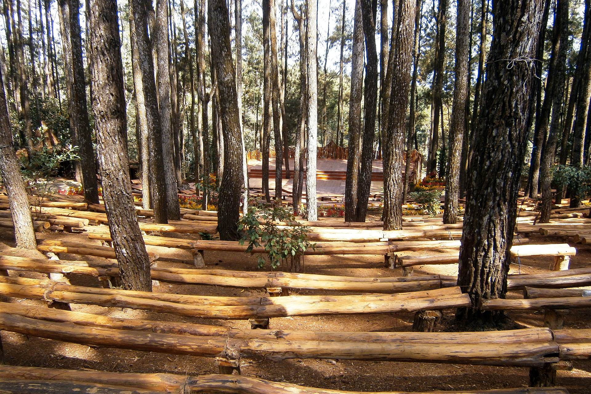 Hutan Pinus Mangunan2.jpg