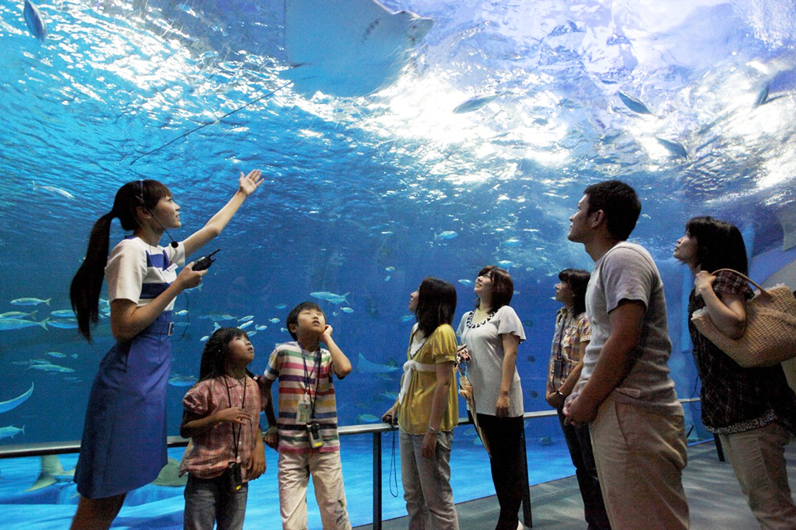 Kagoshima City Aquarium Ticket in Kyushu QNAK3uc8-backdrop