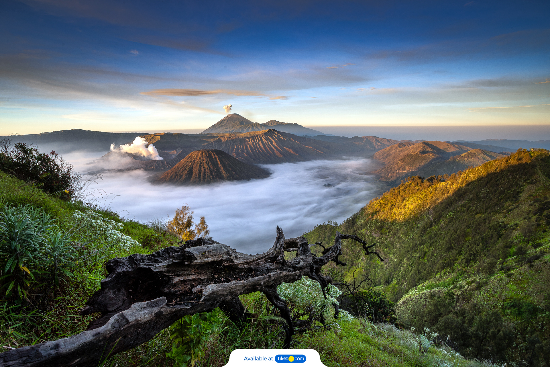 Private Trip Bromo via Malang by Cakra Adventure owXwrZNJ