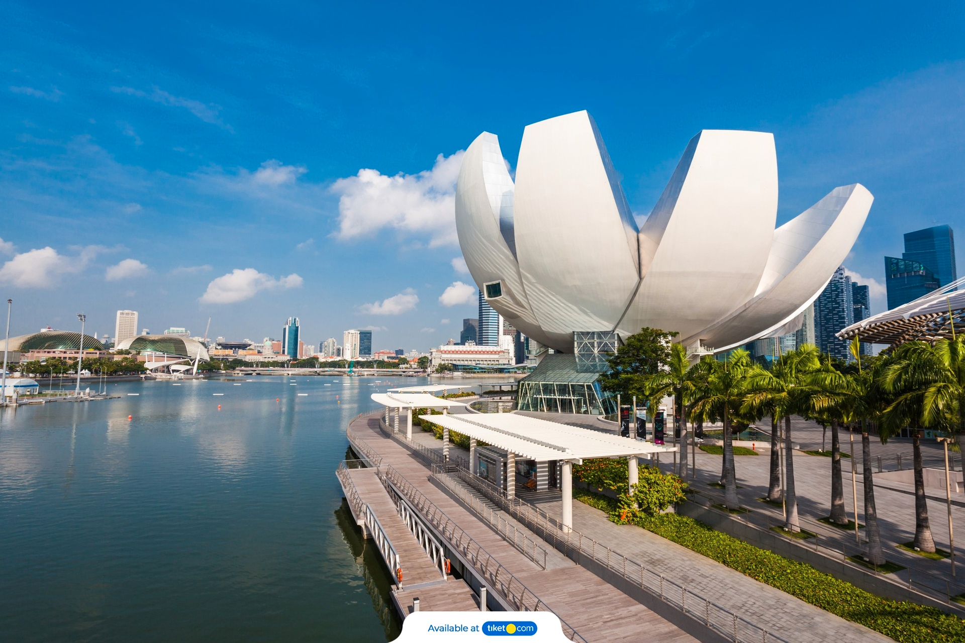ArtScience Museum (2).jpg