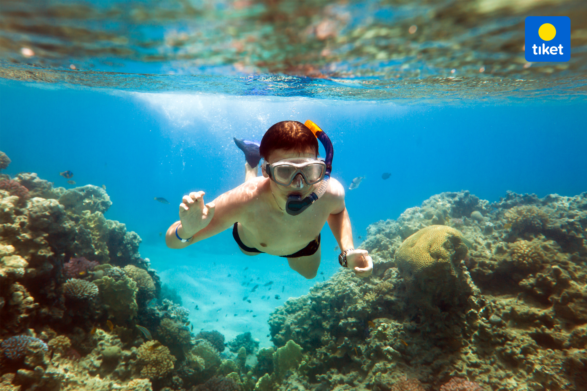 One Day Snorkeling Manta Bay and West Nusa Penida Tour by Penidago 9HfnsIWb