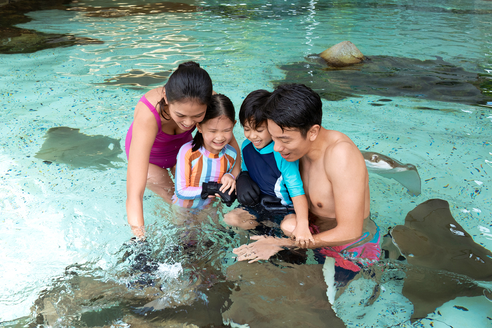 Adventure Cove Waterpark™ rb00Hcif