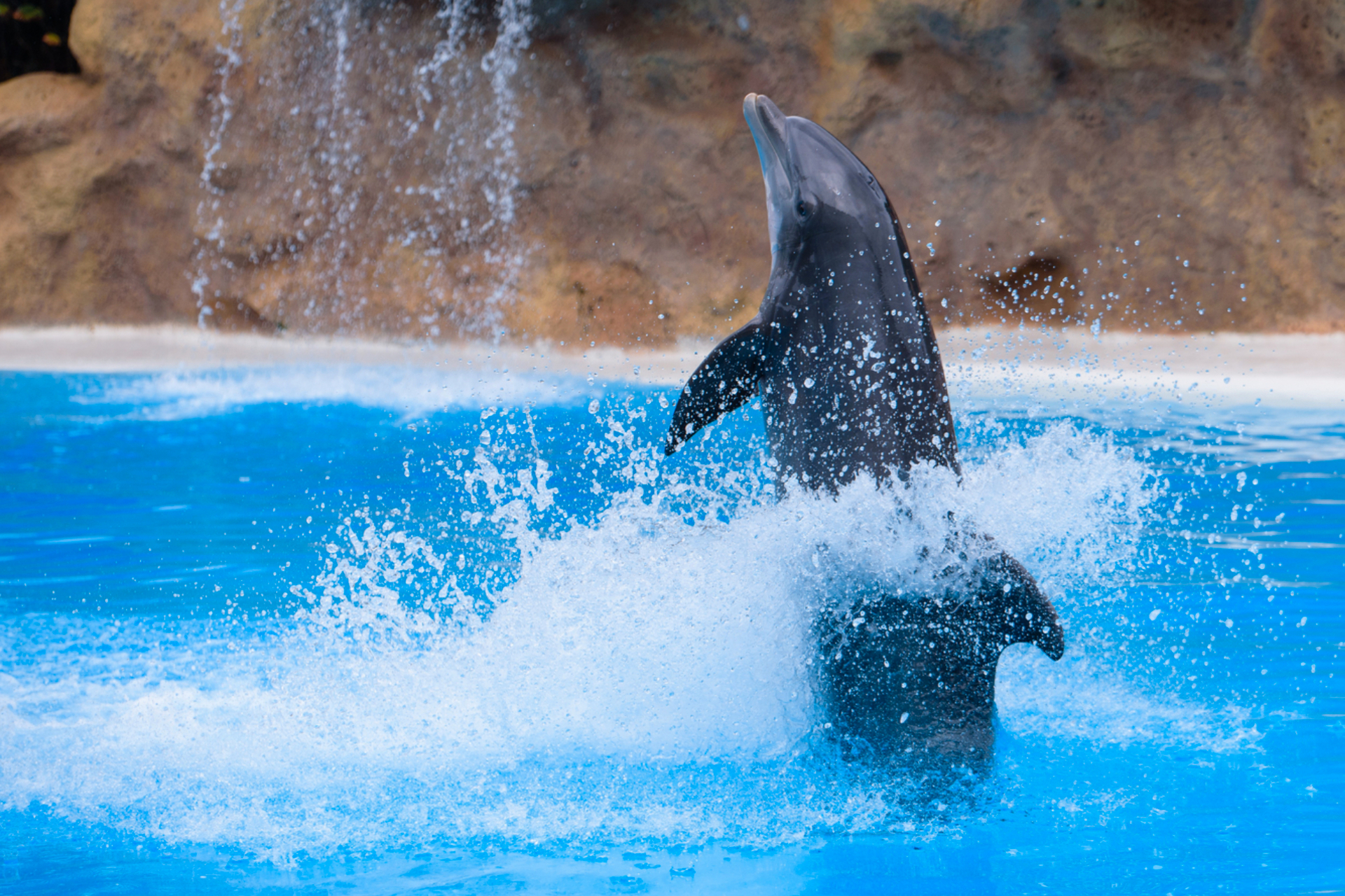 Sea World.jpg-backdrop