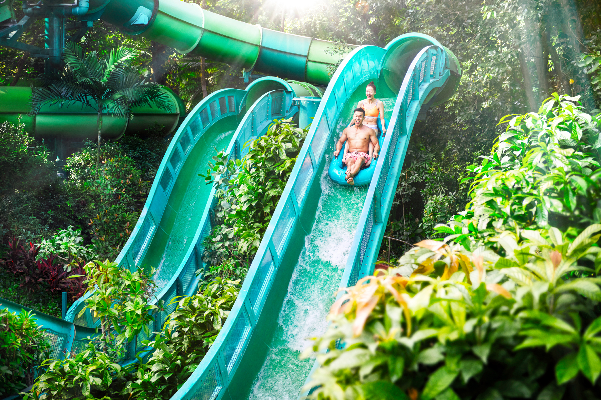 Adventure Cove Waterpark™ Cv7x9RsU