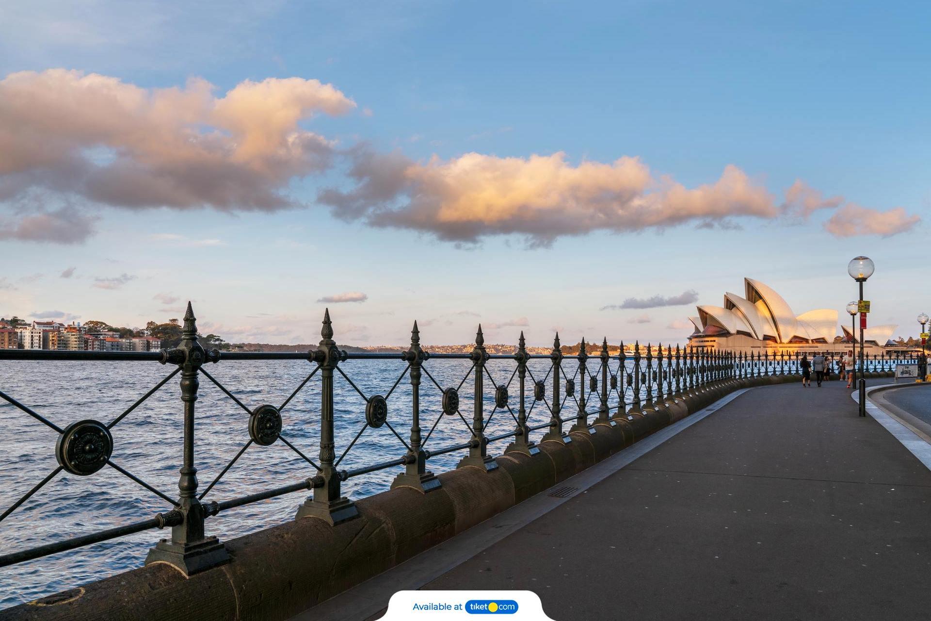 Manly Beach Cycling Tour with Sunset Cruise FlQ00v3i