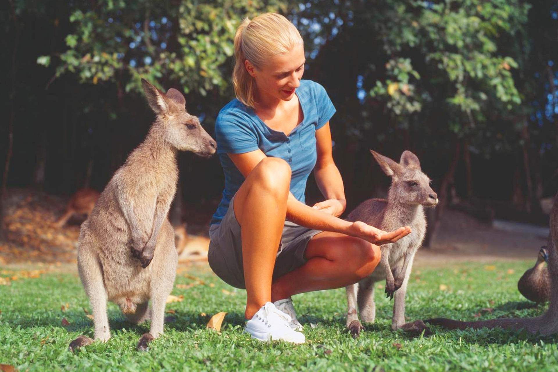 Cape Tribulation and Daintree Wilderness Full-Day Tour from Cairns edYTfAw0-backdrop