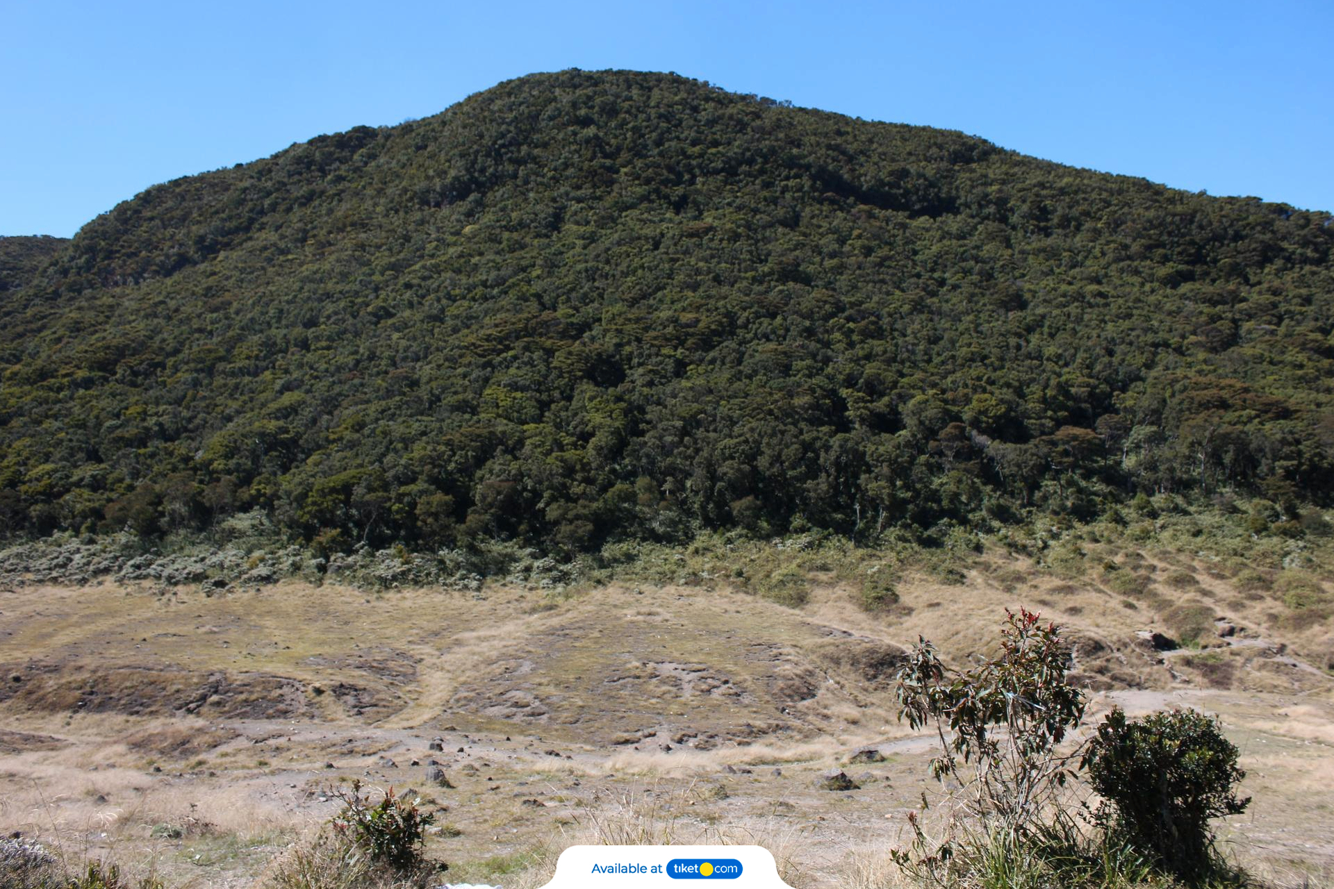 Gunung Gede Pangrango (1).jpg