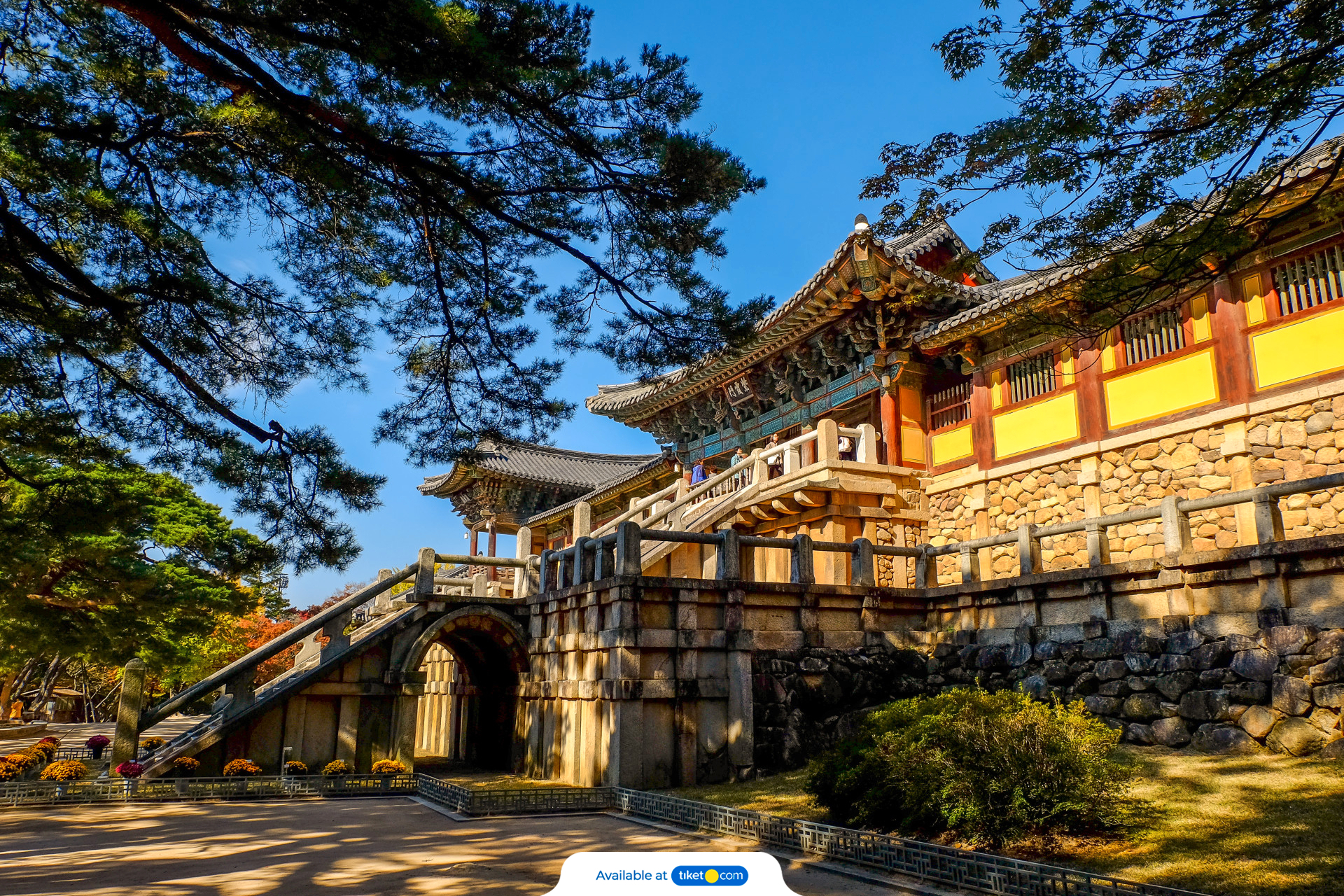 Gyeongju UNESCO World Heritage Site Tour from Busan lffufXxv-backdrop