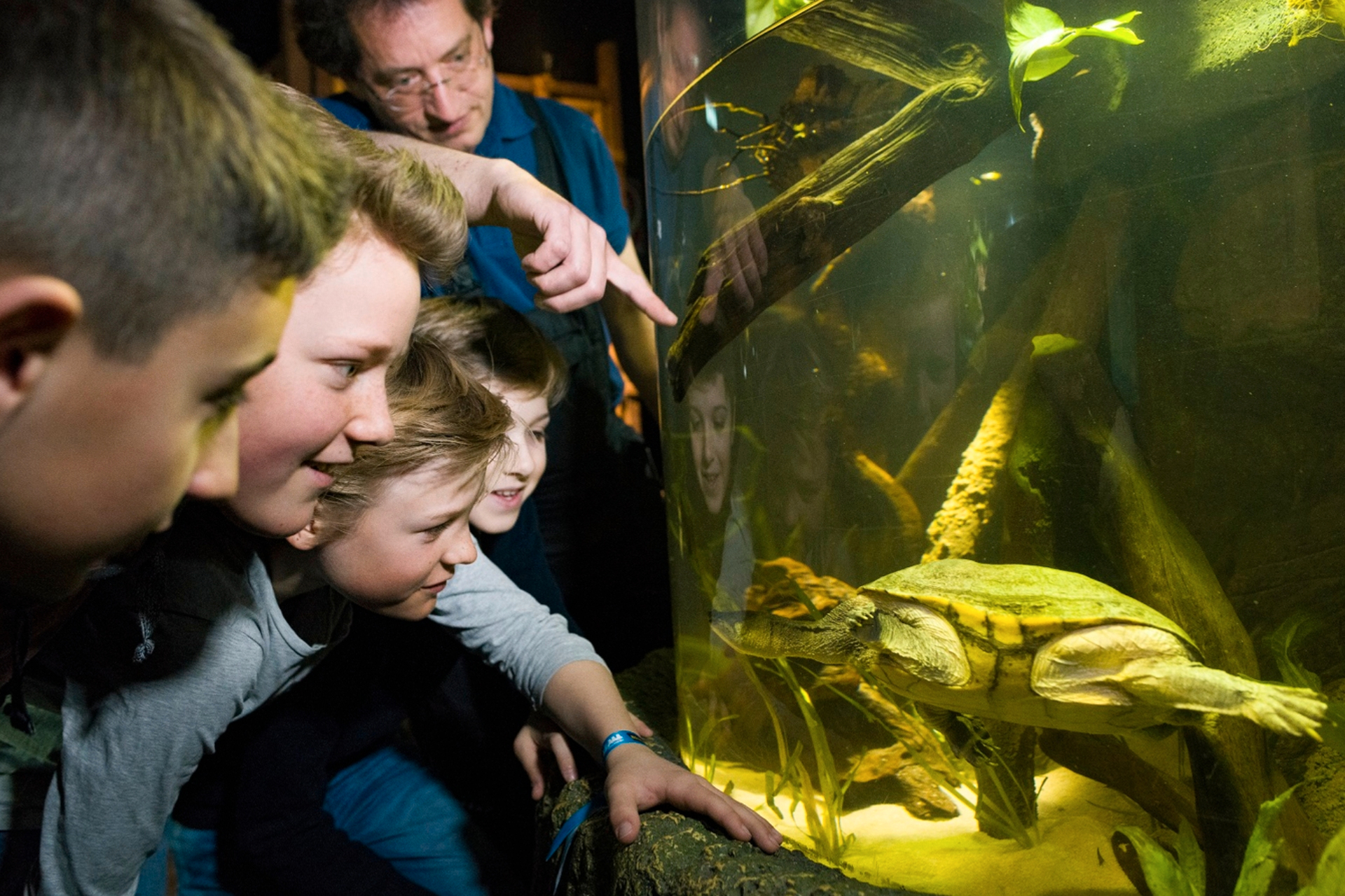 SEA LIFE Munich Aquarium Ticket Il81H70C-backdrop