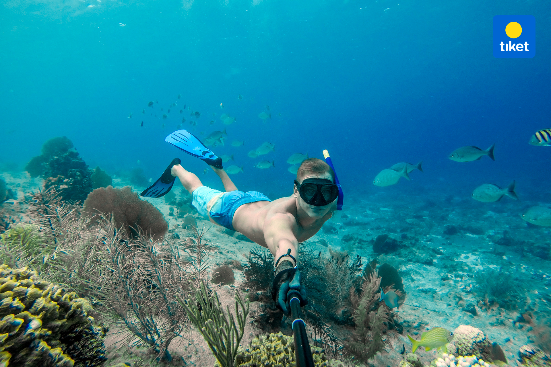 Lovina Dolphin Watching Tour and Snorkeling by Bali Best Adventure S4jLHTJb