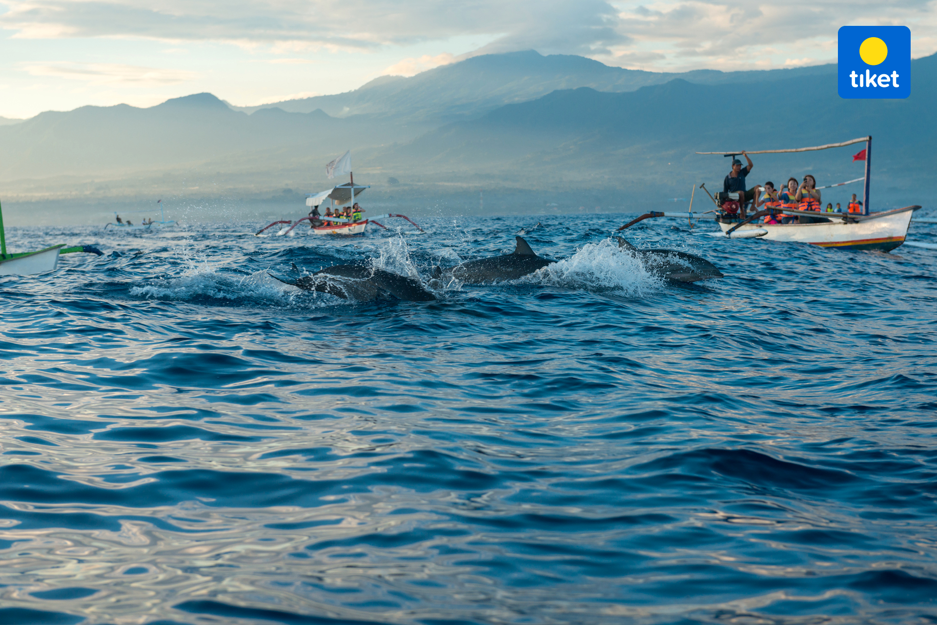 Lovina Dolphin Watching Tour and Snorkeling by Bali Best Adventure 3CyKk2Bl