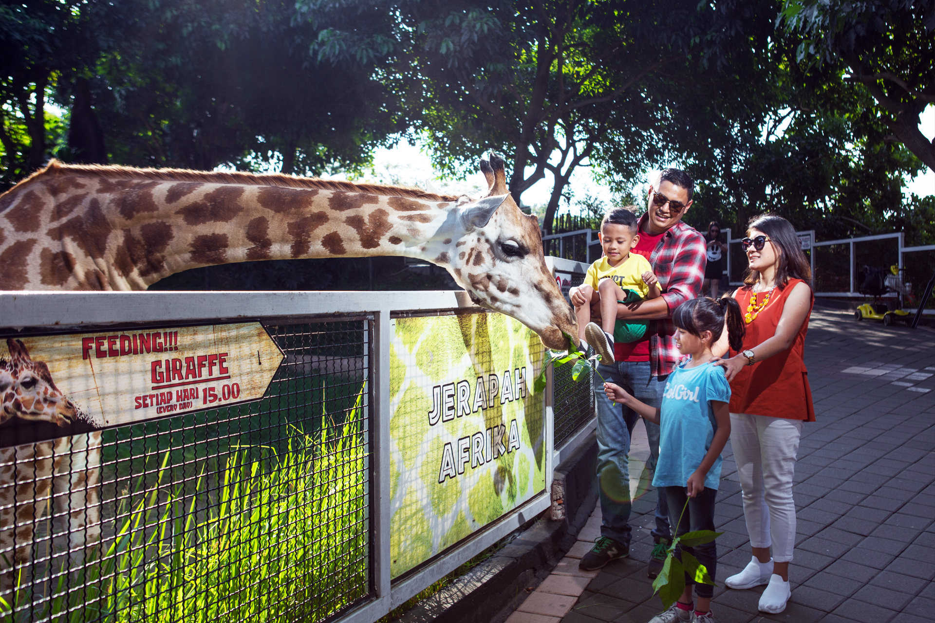 Batu Secret Zoo3.jpg