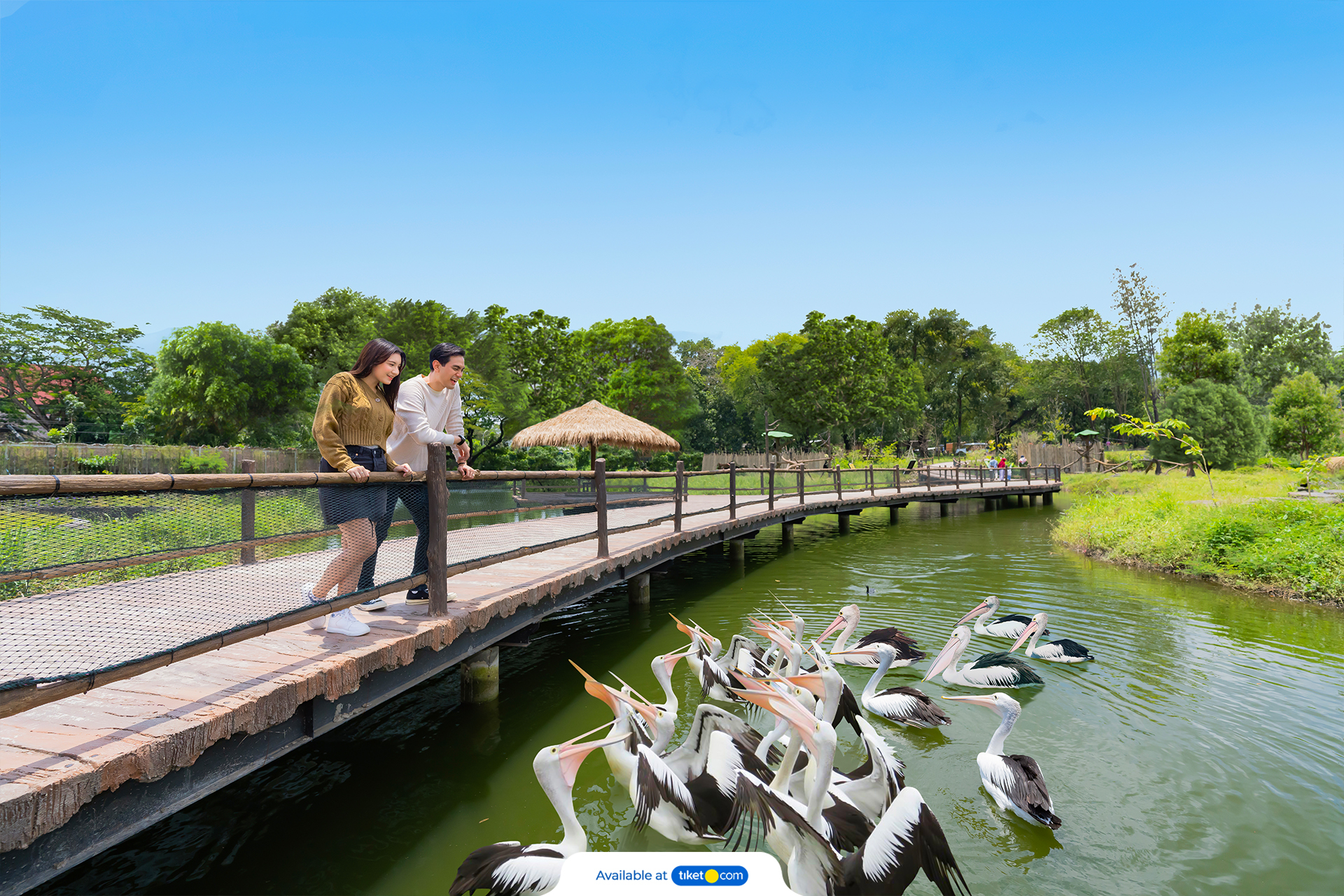 tiket solo safari zoo 10.jpg