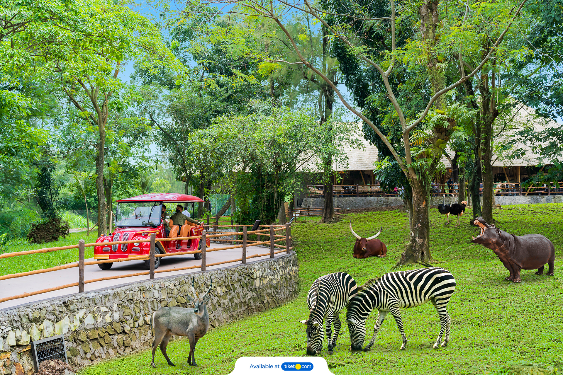tiket solo safari zoo 3.jpg