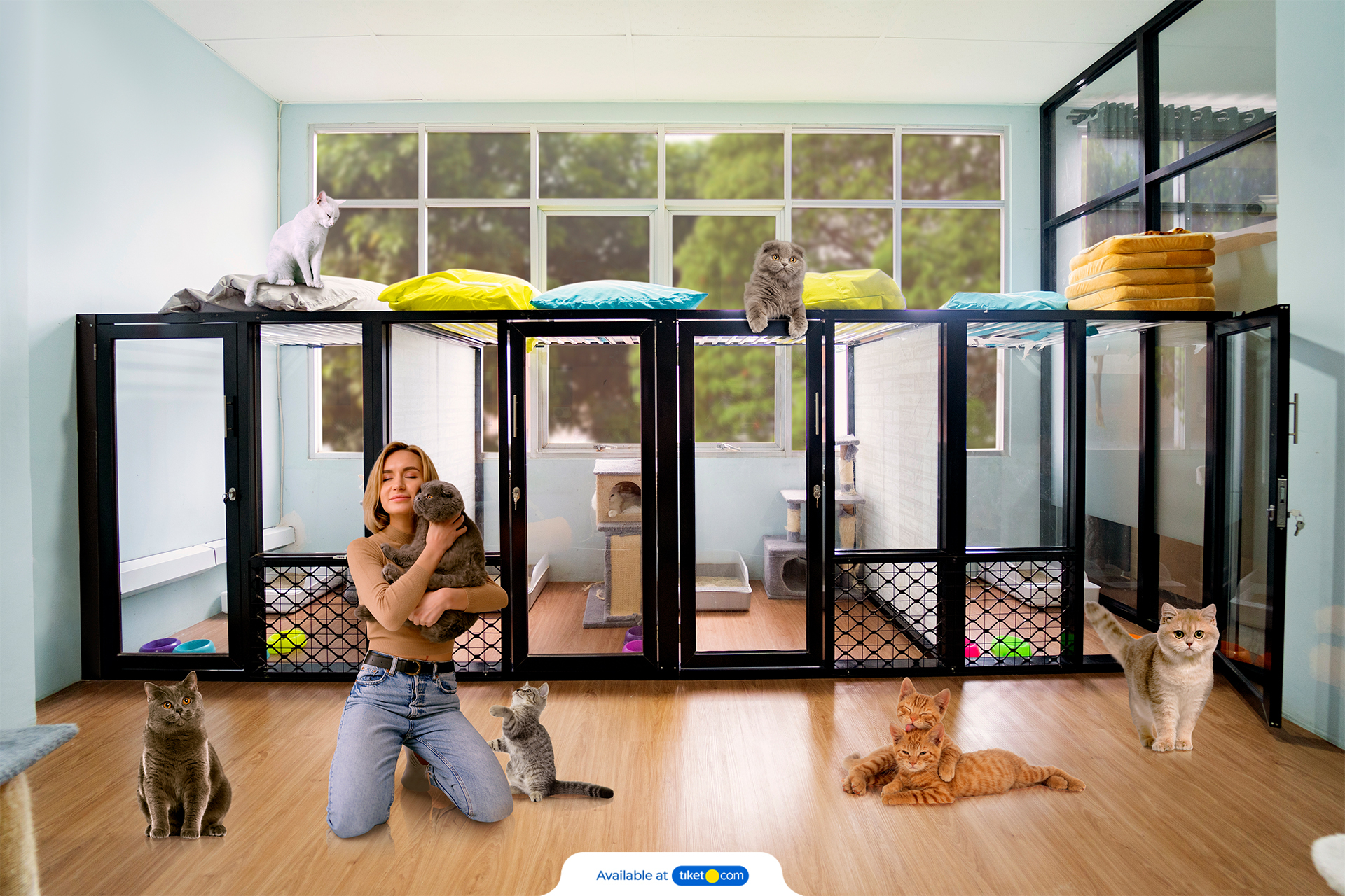 Pet hotel deals