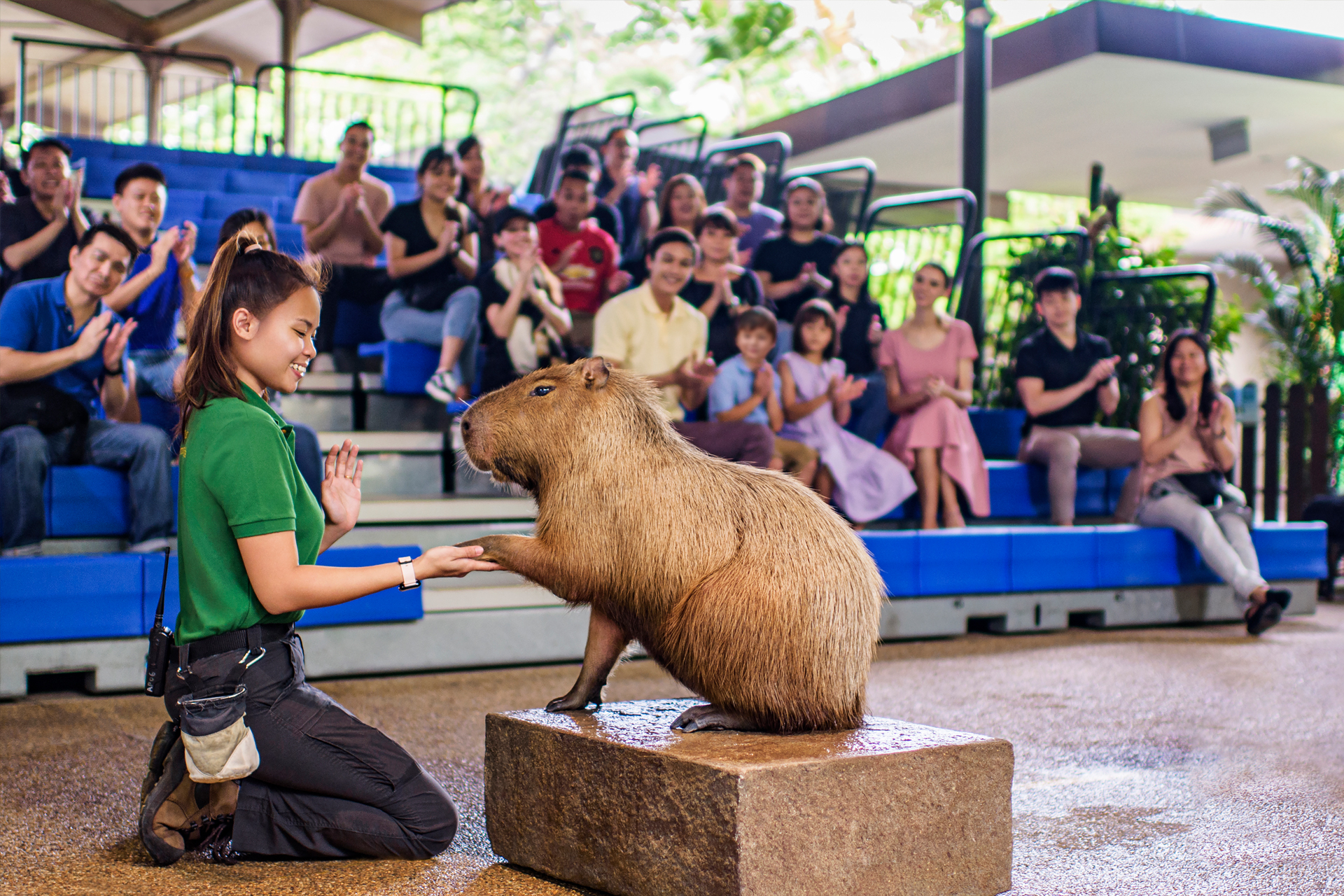 River Wonders Tickets | Mandai Wildlife Reserve WeNUYzHz-backdrop