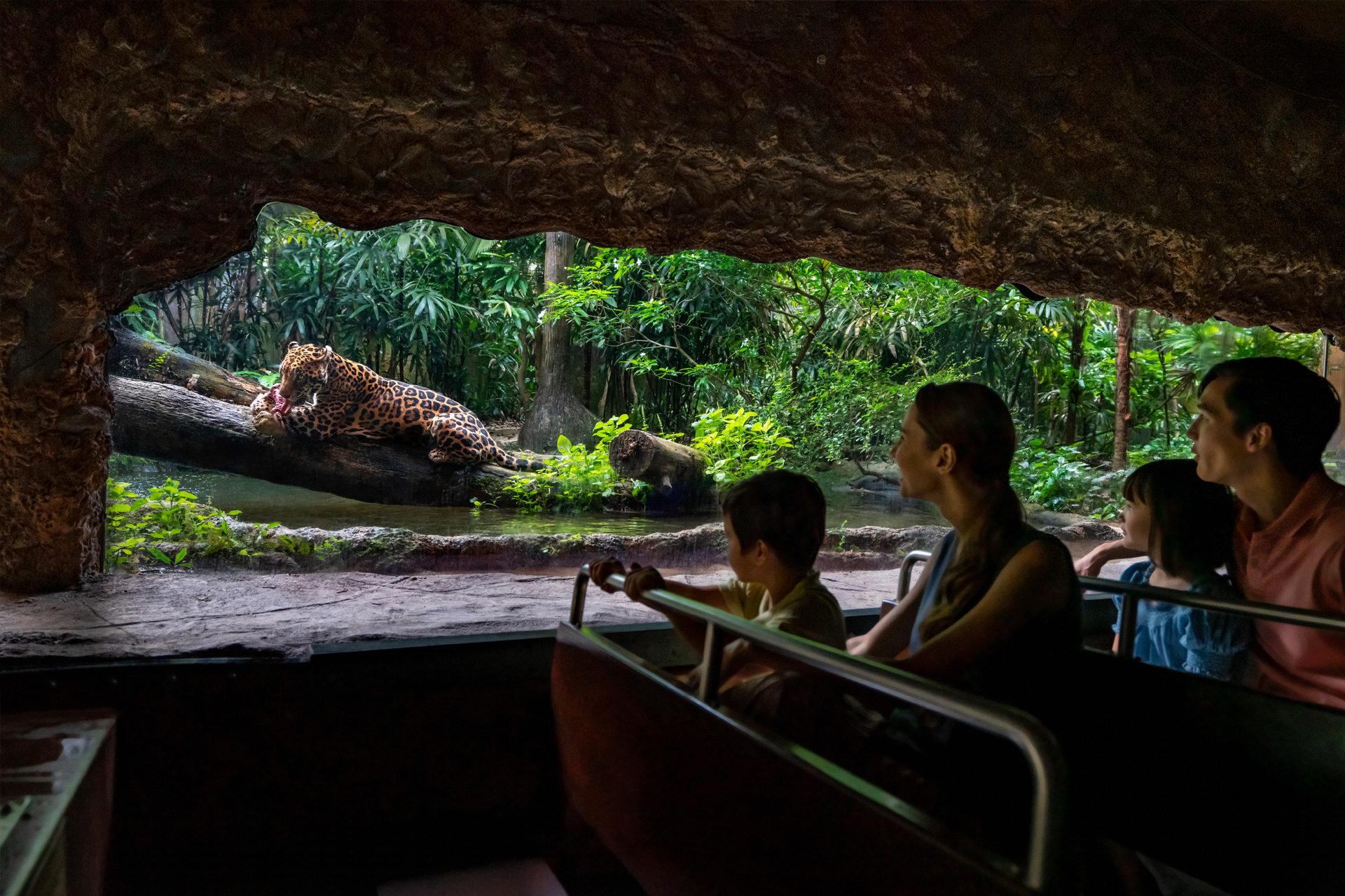 River Wonders Tickets | Mandai Wildlife Reserve zsNnqAdX