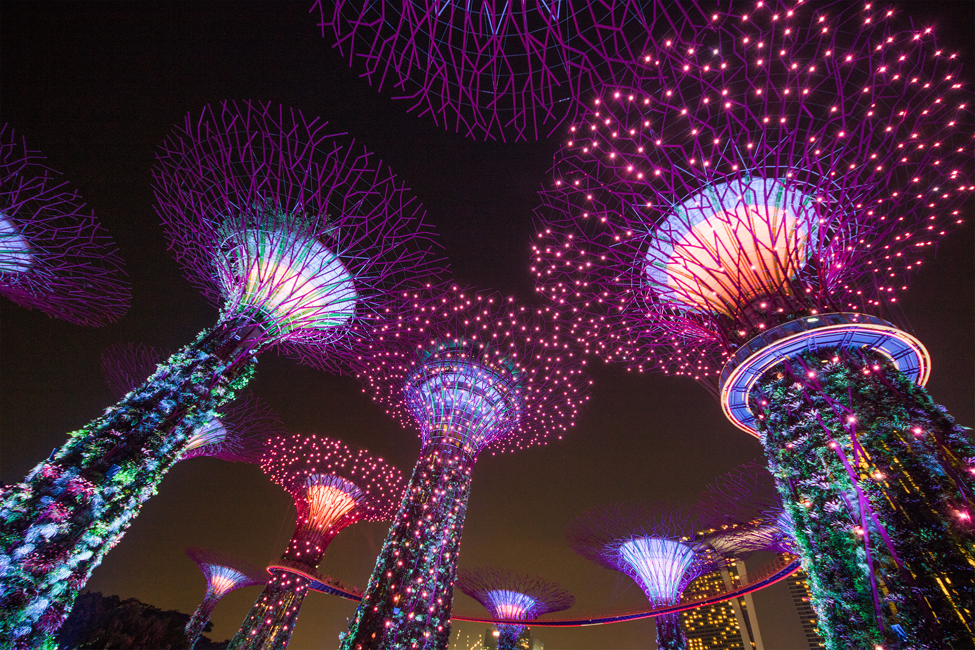 tiket garden by the bay singapore 9.png