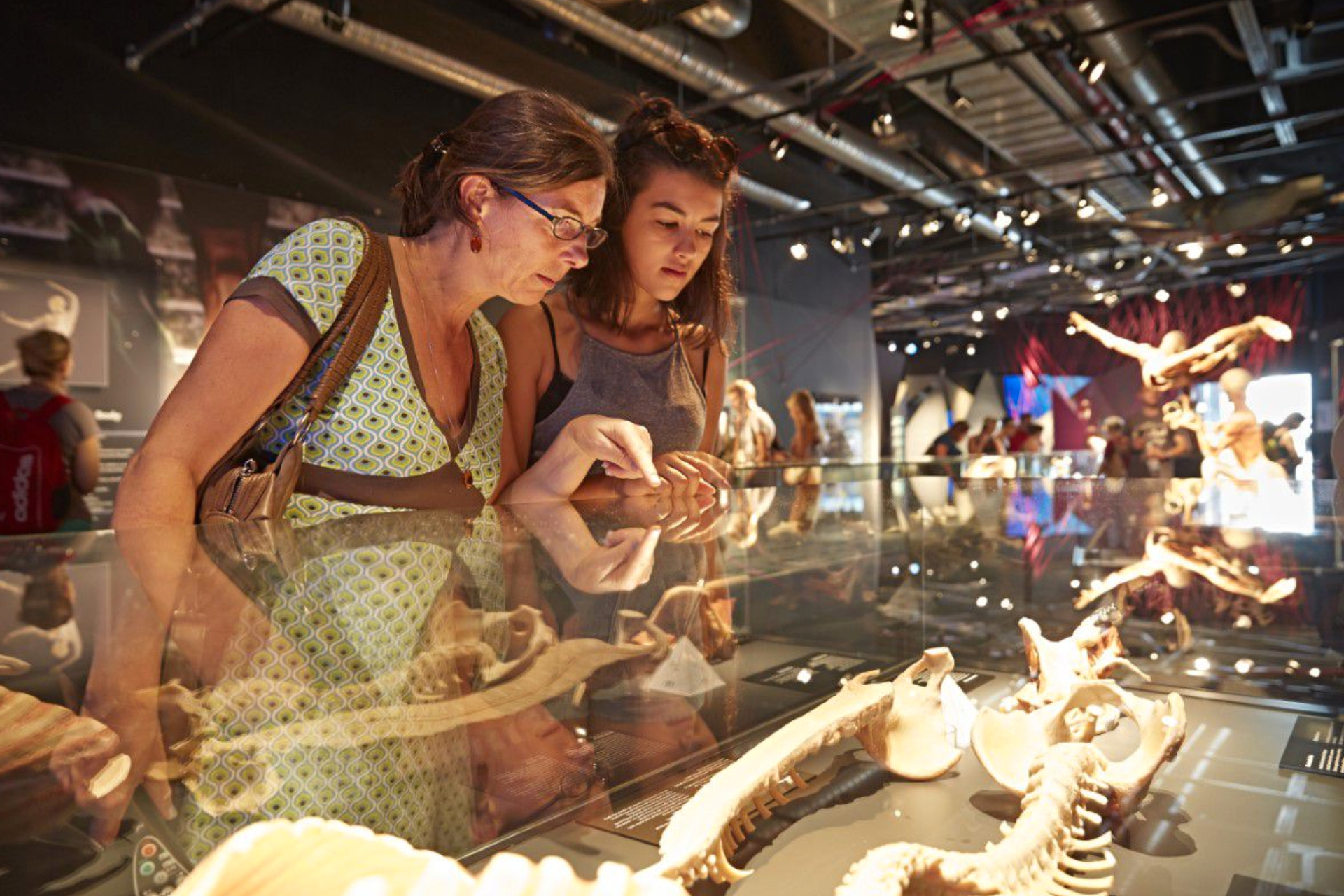 BODY WORLDS Berlin se1kkN7g-backdrop