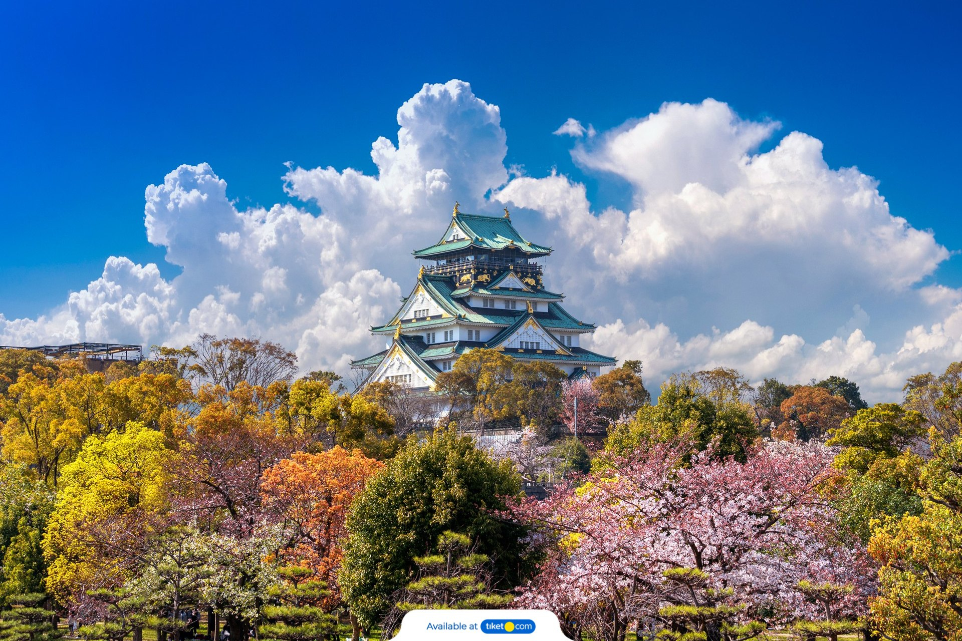 Osaka Castle Ticket TCdjHWTB-backdrop