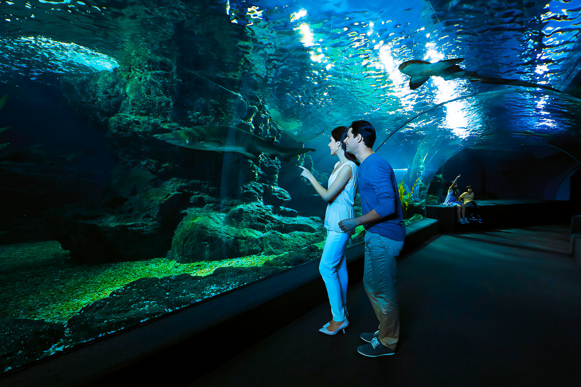 SEA LIFE Bangkok Ocean World Ticket 1slUOhzC
