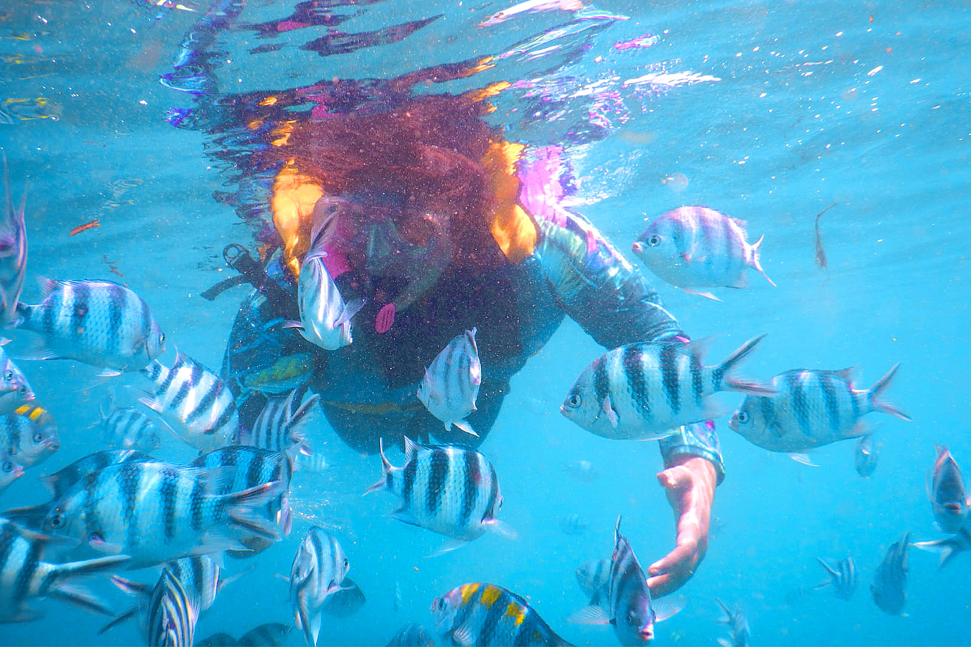 Snorkeling BY TBWS hj6tStmK-backdrop