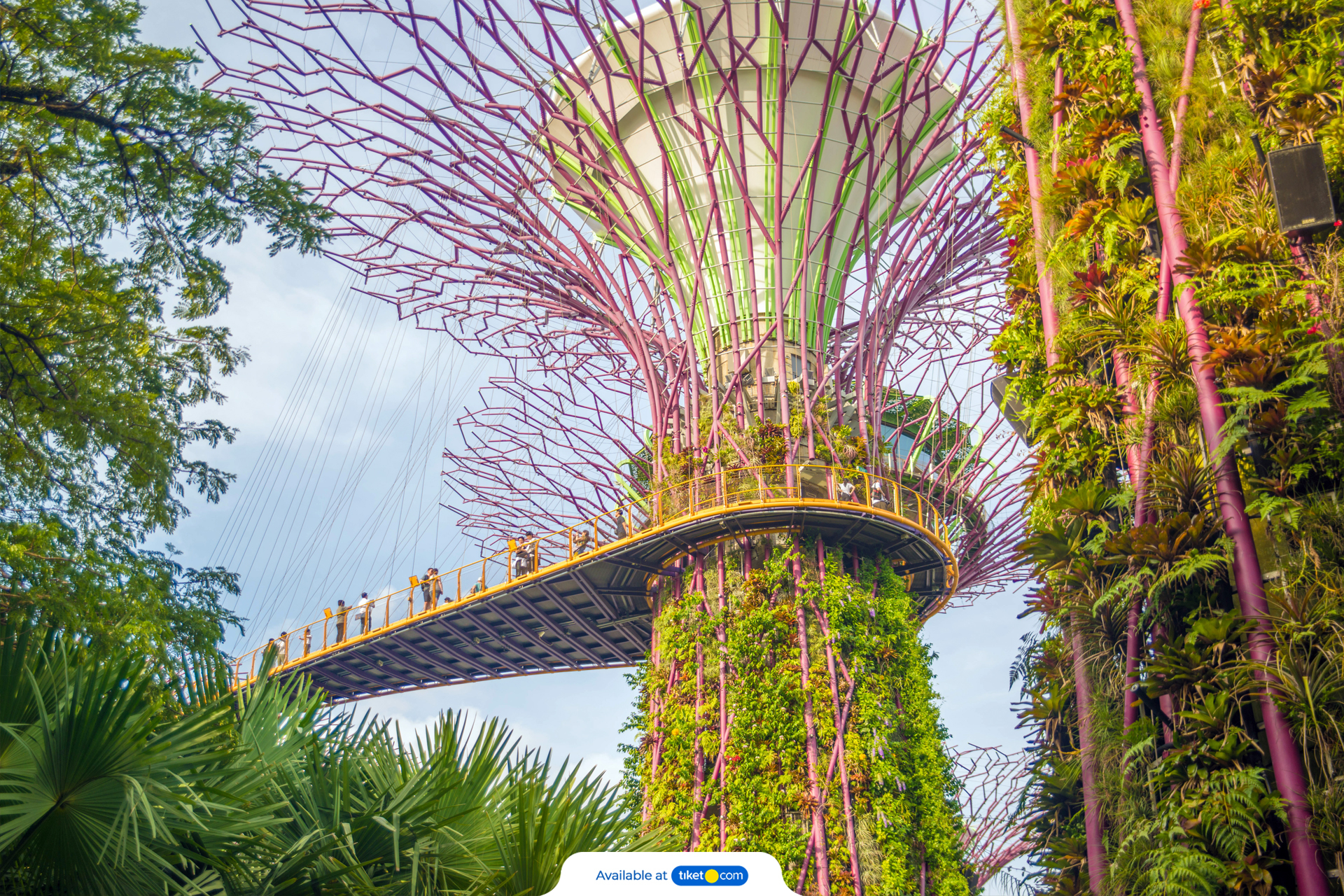 Ez-link Card Singapore Qgn3b1eH
