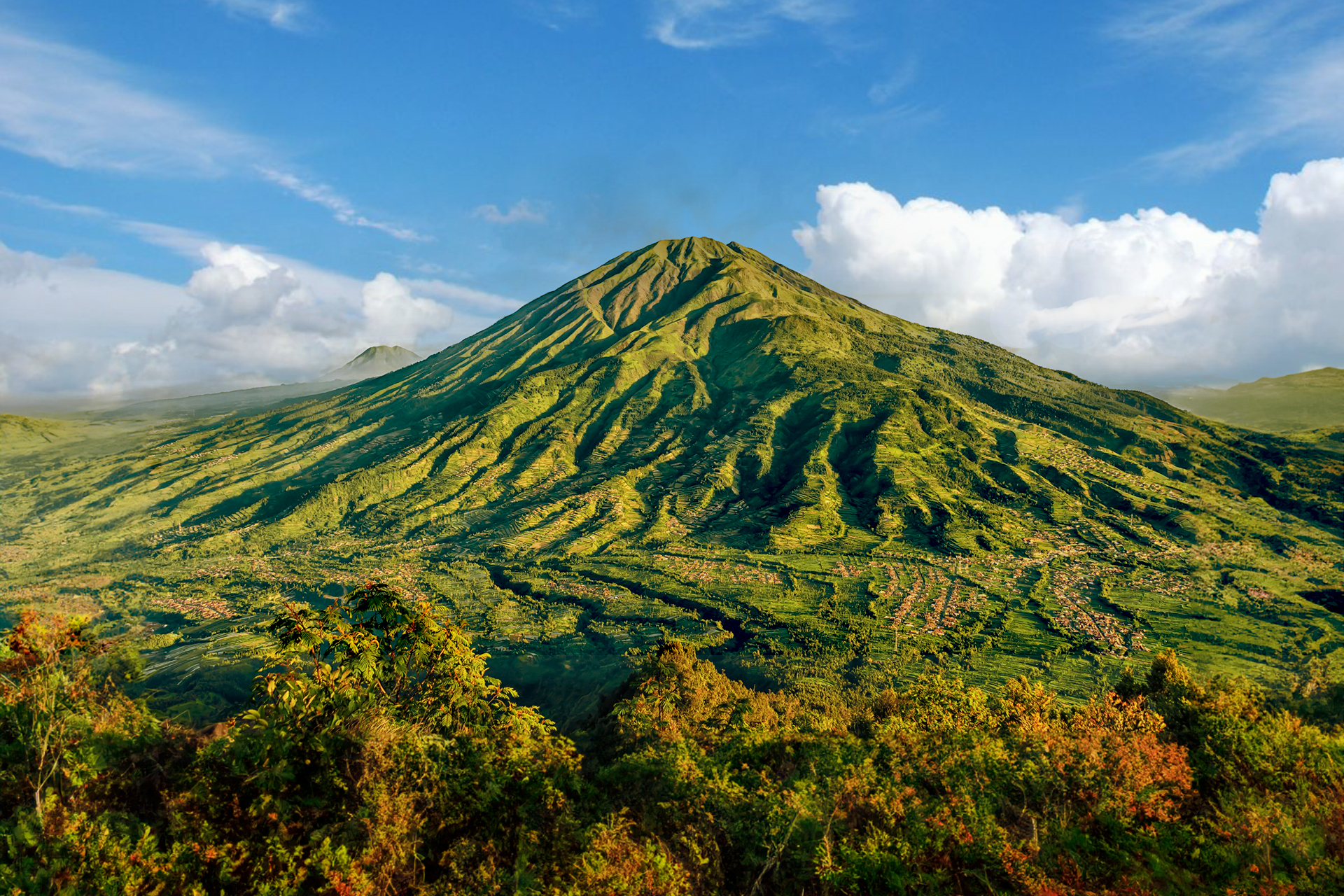Open Trip to GUNUNG MERBABU by Travel Buddies NkeAfH8I-backdrop