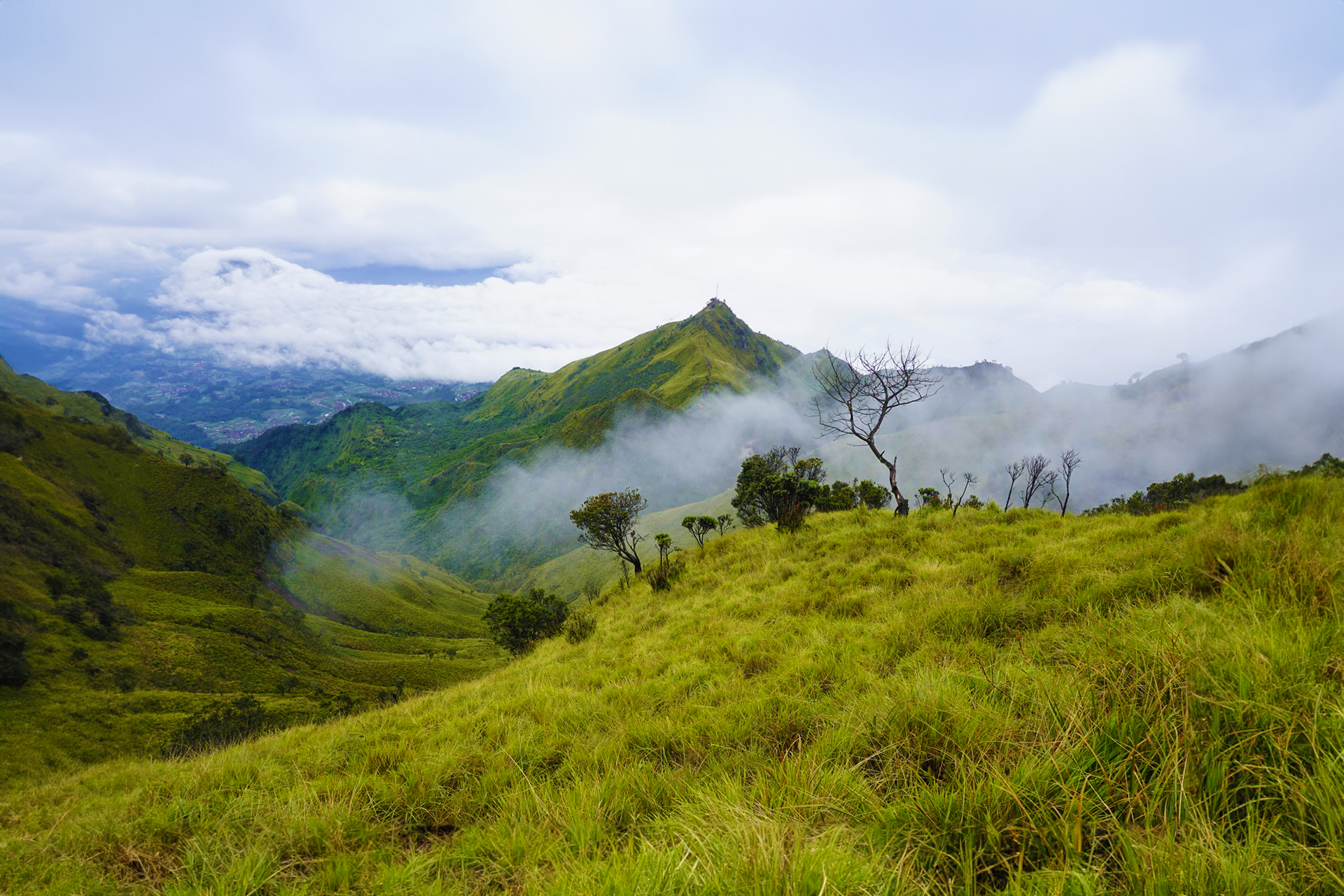 Open Trip to GUNUNG MERBABU by Travel Buddies j1X17XYX