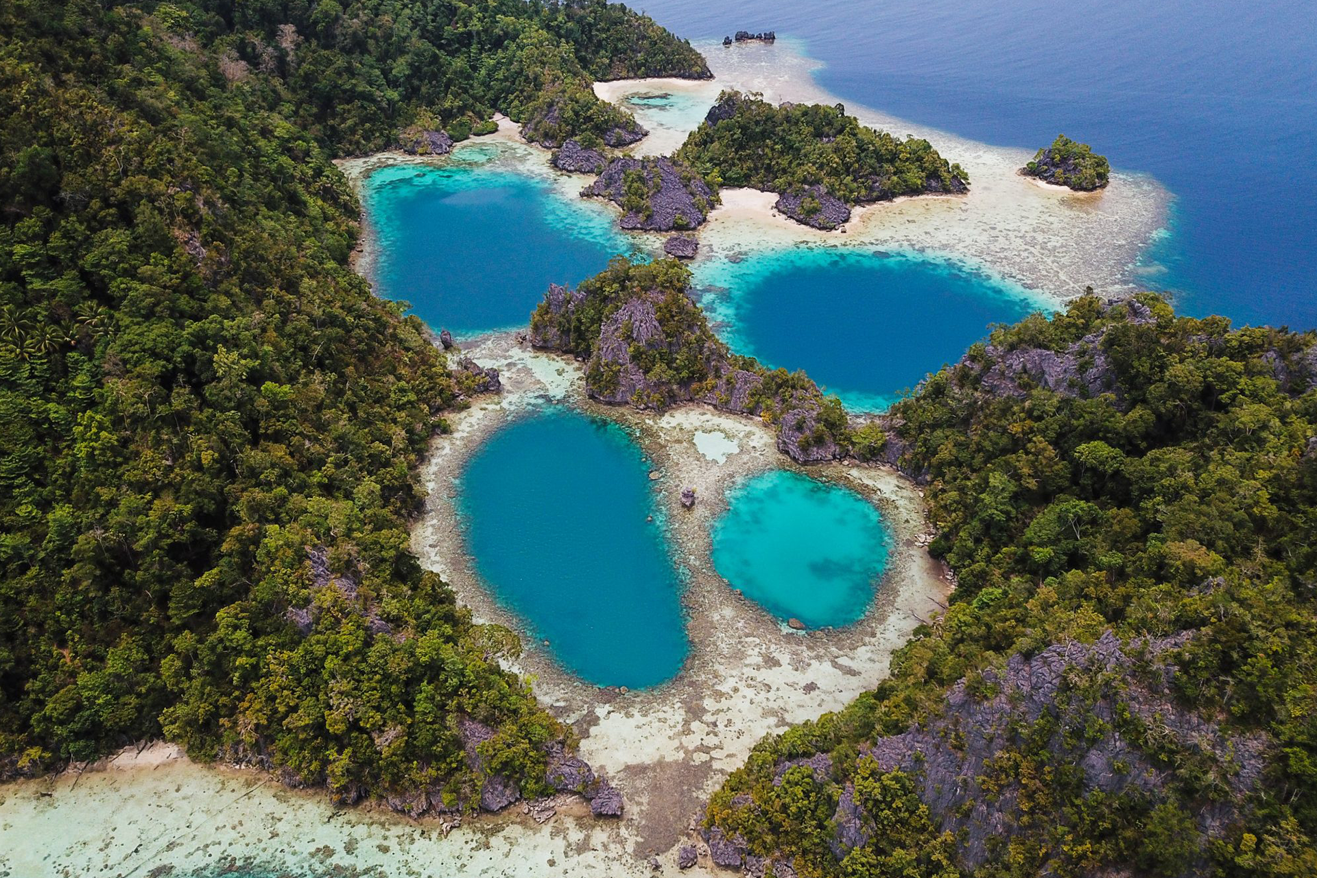 Open Trip to SOMBORI  - LABENGKI  by Travel Buddies Rvuawu4P