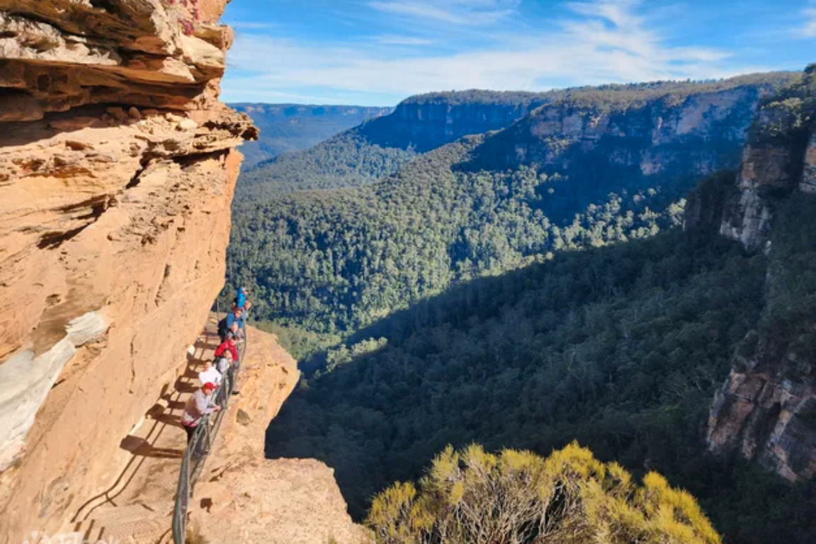 Blue Mountains Day Tour with Waterfall Walk and Social Picnic Lunch A34BK4jH